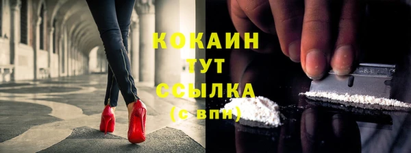 молекула духа Инсар