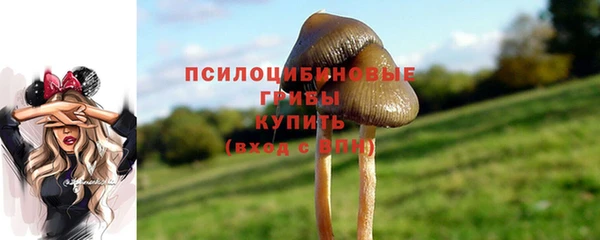молекула духа Инсар