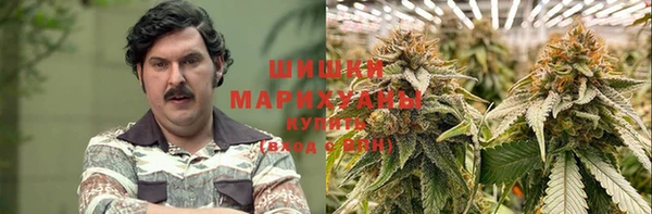 прущие крисы Инта
