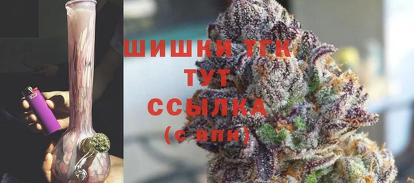 прущие крисы Инта