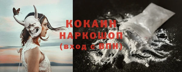 молекула духа Инсар