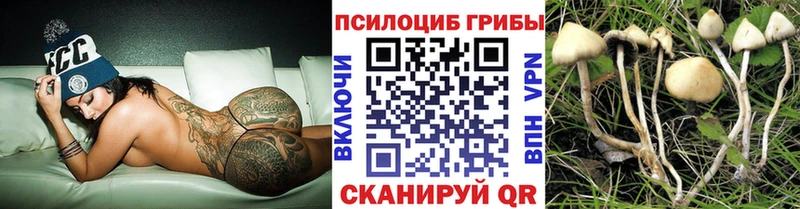 Купить закладки  Благовещенск  Псилоцибиновые грибы мухоморы 
