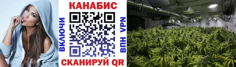 Купить закладки  Благовещенск  Канабис SATIVA & INDICA 